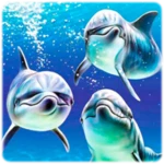 Logo of Dolphin Wallpapers android Application 