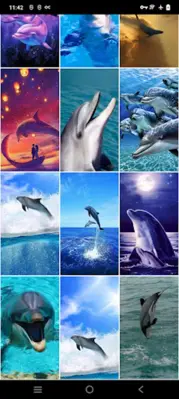 Dolphin Wallpapers android App screenshot 0